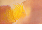 Leticia Ochar&aacute;n Abstracci&oacute;n y sugerencia de lo real