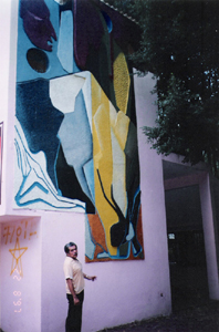 Murales de Leticia Ochar�n