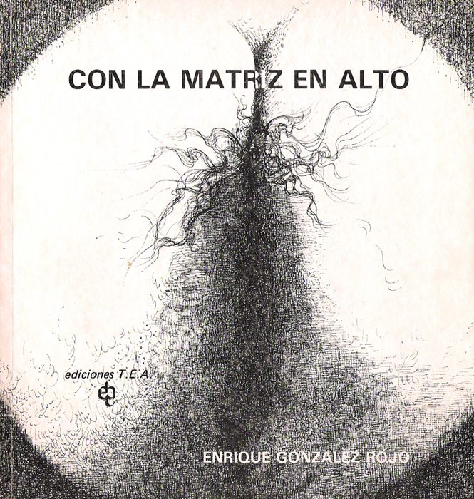 Obra Leticia Ochar�n